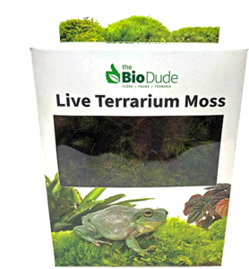 Moss Bath Mat DIY Live Moss for Sale