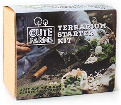 How To Grow Moss Indoor Terrarium Starter Kit from Amazon