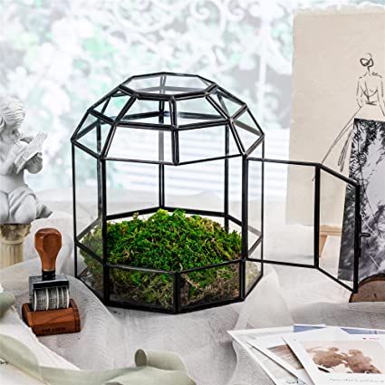 Metal and Glass Terrarium for Indoor Moss Garden with Wood Base and Wooden Ball Top, Dark Academia Aesthetic Interior Design