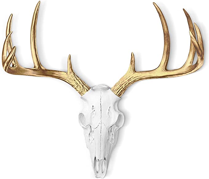 Gold Antler Faux Deer Skull - 16" Faux Taxidermy Animal Head Wall Decor