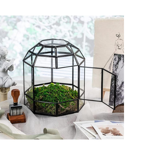 Metal and Glass Terrarium for Indoor Moss Garden with Wood Base and Wooden Ball Top, Dark Academia Aesthetic Interior Design