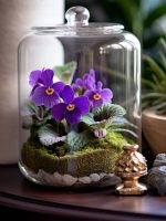 african violets inside glass dome terrarium with dark academia indoor plant garden design